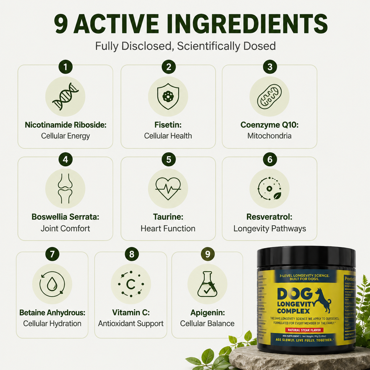 9 active ingredients, every dose disclosed