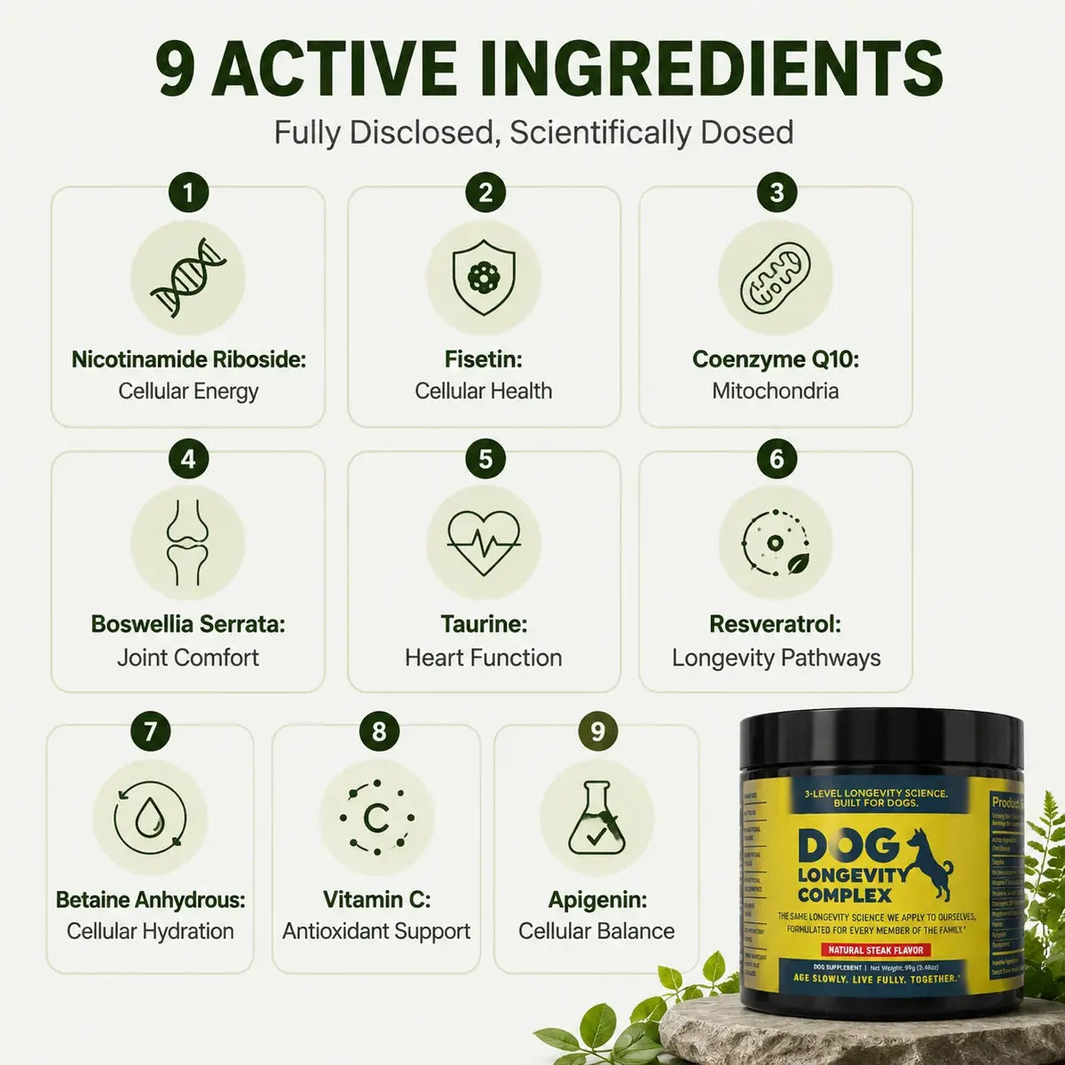 Nine active ingredients in Dog Longevity Complex and the area each one supports